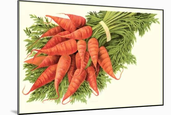 Bunch of Carrots-null-Mounted Art Print