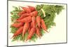 Bunch of Carrots-null-Mounted Art Print