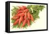 Bunch of Carrots-null-Framed Stretched Canvas