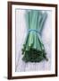 Bunch of Chives-Maxine Adcock-Framed Photographic Print