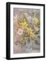 Bunch of daffodils, 2000-Margo Starkey-Framed Giclee Print