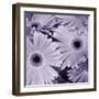 Bunch of Flowers I-Tony Koukos-Framed Giclee Print