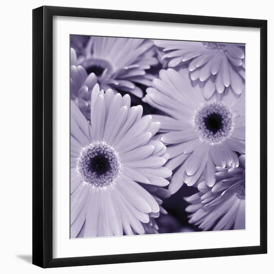 Bunch of Flowers I-Tony Koukos-Framed Giclee Print