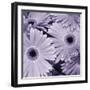 Bunch of Flowers I-Tony Koukos-Framed Giclee Print