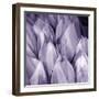 Bunch of Flowers II-Tony Koukos-Framed Giclee Print