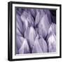 Bunch of Flowers II-Tony Koukos-Framed Giclee Print