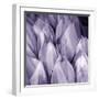 Bunch of Flowers II-Tony Koukos-Framed Giclee Print