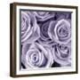 Bunch of Flowers III-Tony Koukos-Framed Giclee Print