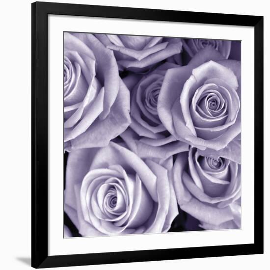 Bunch of Flowers III-Tony Koukos-Framed Giclee Print