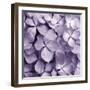 Bunch of Flowers IV-Tony Koukos-Framed Giclee Print