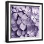 Bunch of Flowers IV-Tony Koukos-Framed Giclee Print