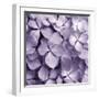 Bunch of Flowers IV-Tony Koukos-Framed Giclee Print