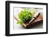 Bunch of Fresh Parsley on a Wooden Board-looby-Framed Photographic Print