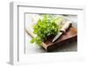 Bunch of Fresh Parsley on a Wooden Board-looby-Framed Photographic Print