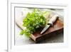 Bunch of Fresh Parsley on a Wooden Board-looby-Framed Photographic Print