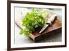 Bunch of Fresh Parsley on a Wooden Board-looby-Framed Photographic Print