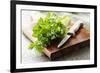 Bunch of Fresh Parsley on a Wooden Board-looby-Framed Photographic Print