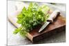 Bunch of Fresh Parsley on a Wooden Board-looby-Mounted Photographic Print