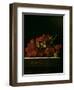 Bunch of Grapes, 1705-Adrian Coorte-Framed Giclee Print