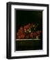 Bunch of Grapes, 1705-Adrian Coorte-Framed Giclee Print