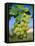 Bunch of Grapes, Champagne, France-Sylvain Grandadam-Framed Stretched Canvas
