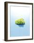 Bunch of Grapes Floating on Water-null-Framed Photographic Print