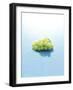 Bunch of Grapes Floating on Water-null-Framed Photographic Print