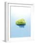 Bunch of Grapes Floating on Water-null-Framed Photographic Print