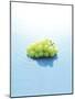 Bunch of Grapes Floating on Water-null-Mounted Photographic Print