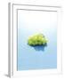 Bunch of Grapes Floating on Water-null-Framed Photographic Print