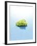 Bunch of Grapes Floating on Water-null-Framed Photographic Print