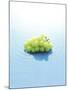 Bunch of Grapes Floating on Water-null-Mounted Photographic Print