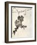 Bunch of Grapes-Jakuchu Ito-Framed Giclee Print