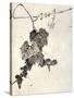 Bunch of Grapes-Jakuchu Ito-Stretched Canvas