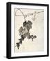 Bunch of Grapes-Jakuchu Ito-Framed Premium Giclee Print