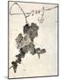 Bunch of Grapes-Jakuchu Ito-Mounted Giclee Print
