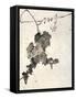 Bunch of Grapes-Jakuchu Ito-Framed Stretched Canvas