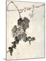 Bunch of Grapes-Jakuchu Ito-Mounted Giclee Print