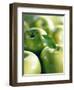 Bunch of Green Apples-Rick Barrentine-Framed Premium Photographic Print