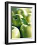 Bunch of Green Apples-Rick Barrentine-Framed Premium Photographic Print