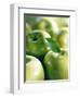 Bunch of Green Apples-Rick Barrentine-Framed Premium Photographic Print