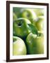 Bunch of Green Apples-Rick Barrentine-Framed Photographic Print