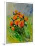 Bunch Of Poppies-Pol Ledent-Framed Art Print