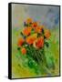 Bunch Of Poppies-Pol Ledent-Framed Stretched Canvas