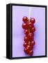 Bunch of Redcurrants-Marc O^ Finley-Framed Stretched Canvas