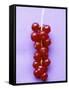 Bunch of Redcurrants-Marc O^ Finley-Framed Stretched Canvas