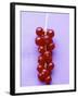 Bunch of Redcurrants-Marc O^ Finley-Framed Photographic Print