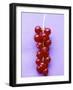 Bunch of Redcurrants-Marc O^ Finley-Framed Photographic Print