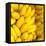 Bunch of Ripe Bananas Background-mazzzur-Framed Stretched Canvas