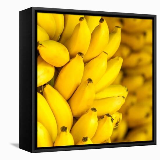 Bunch of Ripe Bananas Background-mazzzur-Framed Stretched Canvas